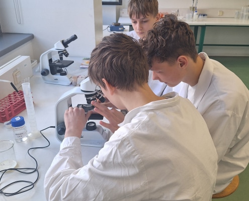 Untersuchung durch Mikroskop